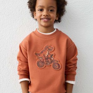 Inicio 3 Sudadera Dino Mayoral